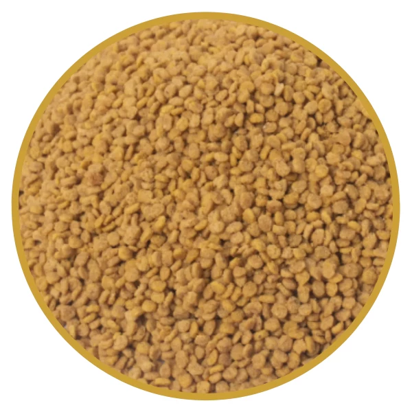 CALOPSITA E AGAPORNIS NATURAL 300G 