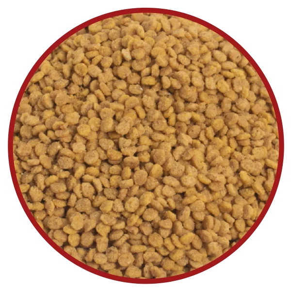 CRIADORES – EXTRUSADA PSITACÍDEOS 5KG – 10KG