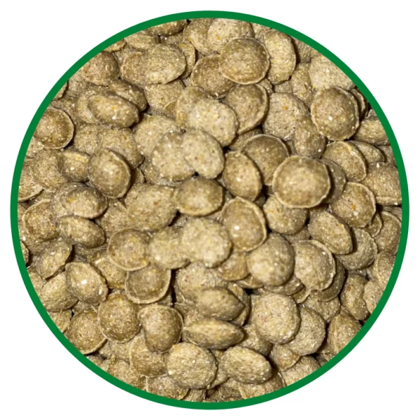 CRIADORES – PAPAGAIO NATURAL 10KG