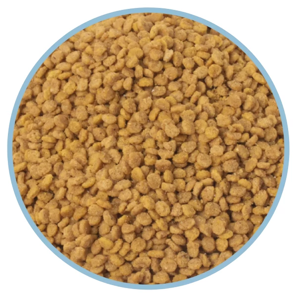 CRIADORES – RINGNECK NATURAL 5KG 